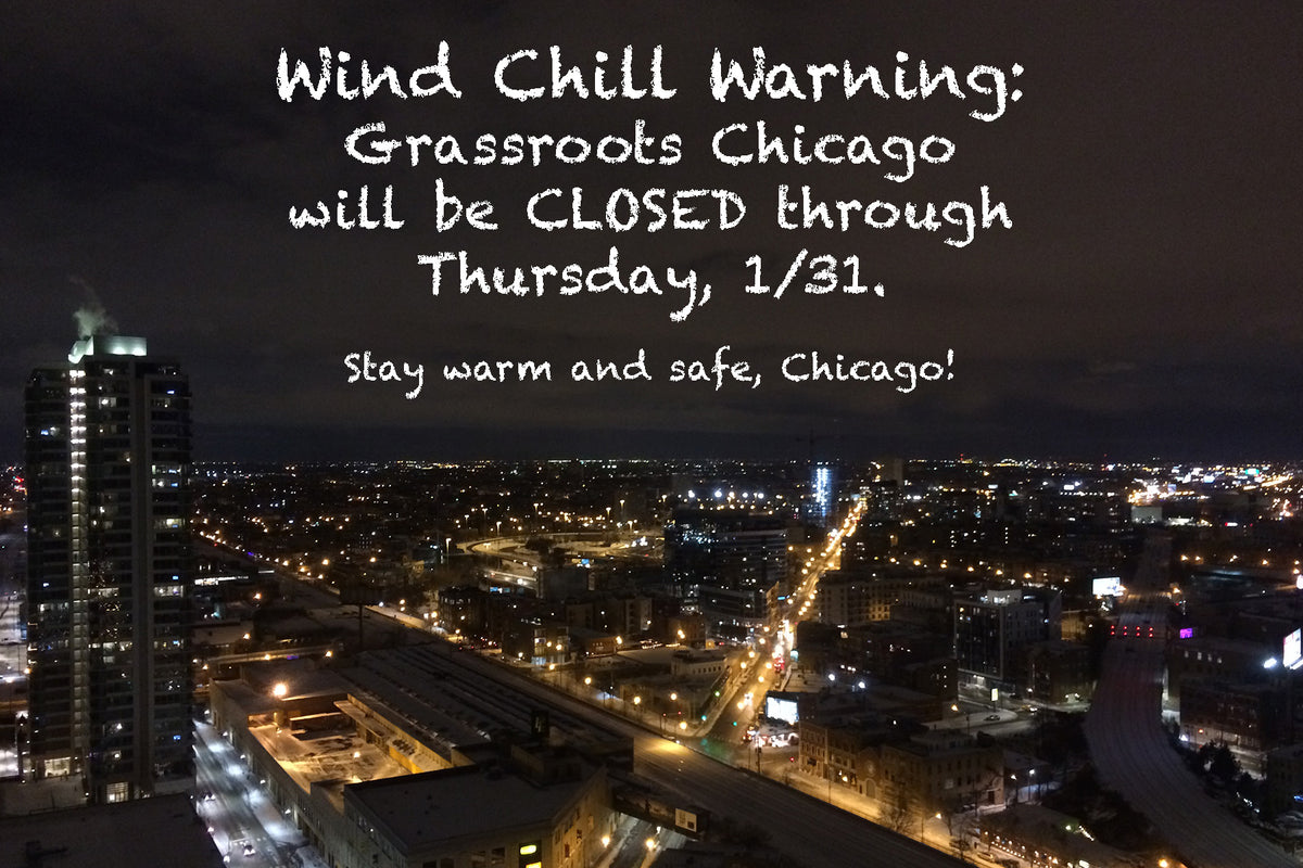 Chicago: The (Frozen) Windy City