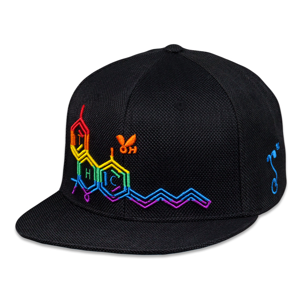 THC Bee Rainbow Snapback Hat
