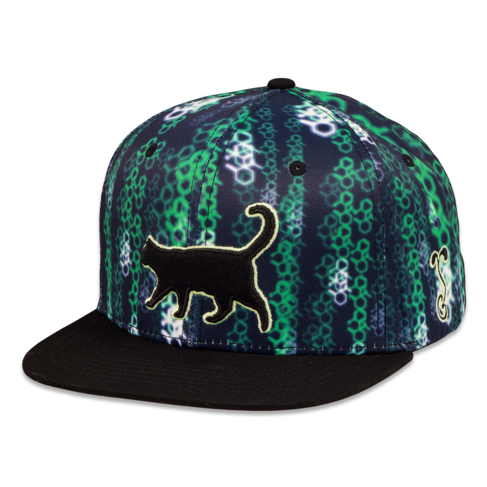 Ketamatrix Snapback Hat