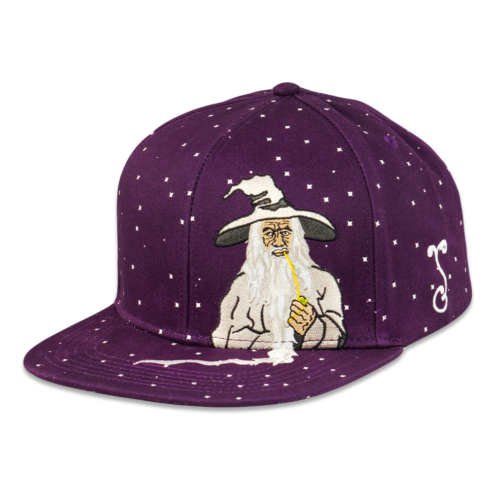 Toking Wizard Purple Snapback Hat