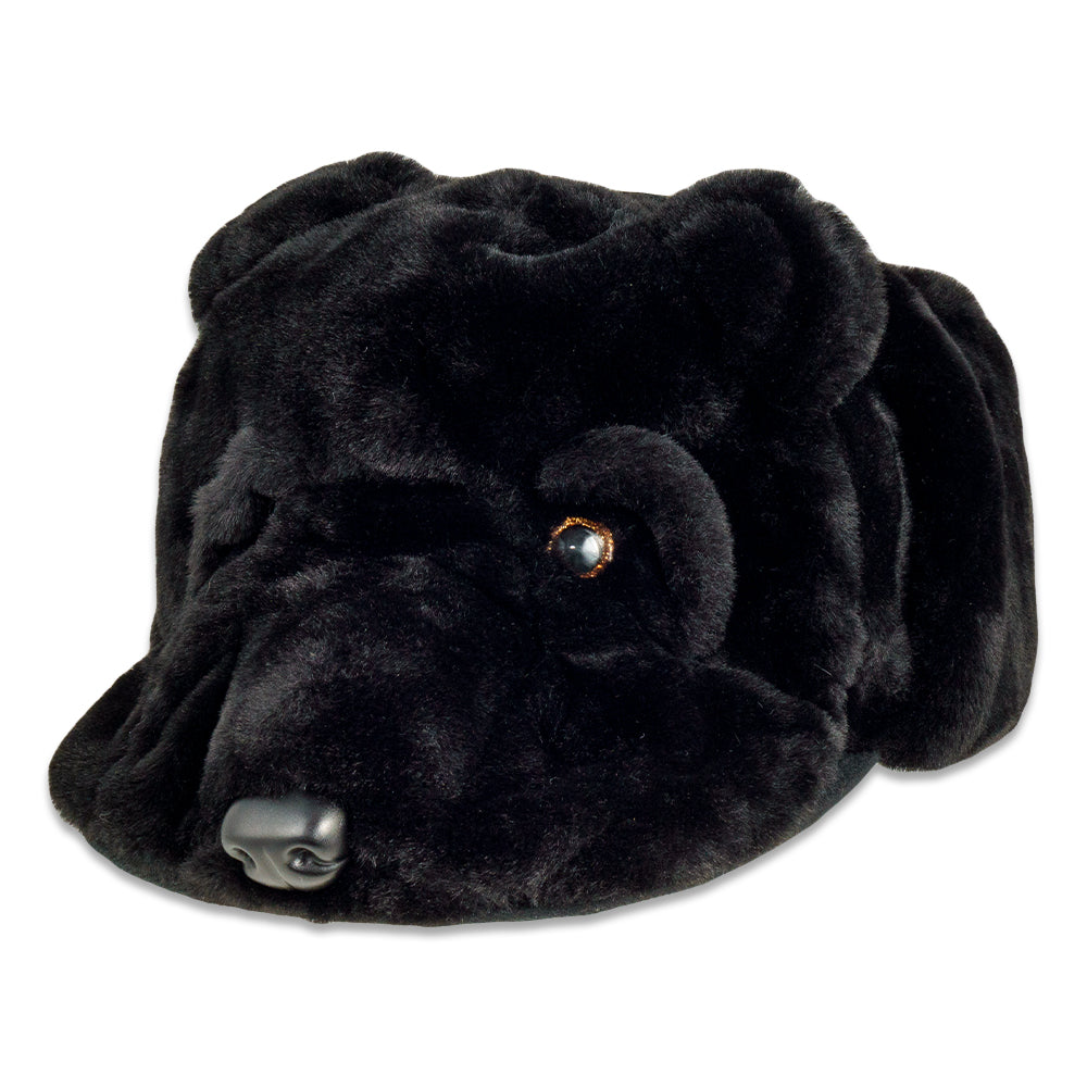 Rainbow Bear Fur Earflap Snapback Hat