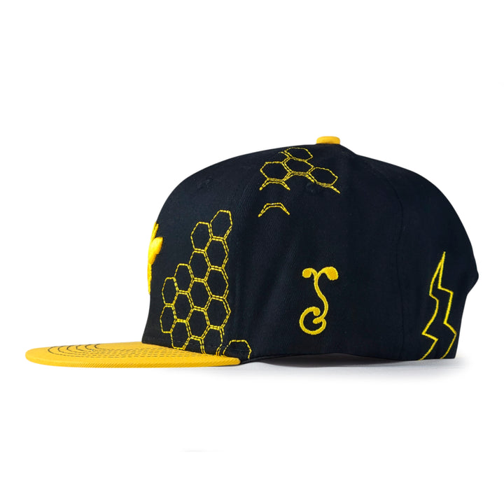 Electric Honey Black Snapback Hat