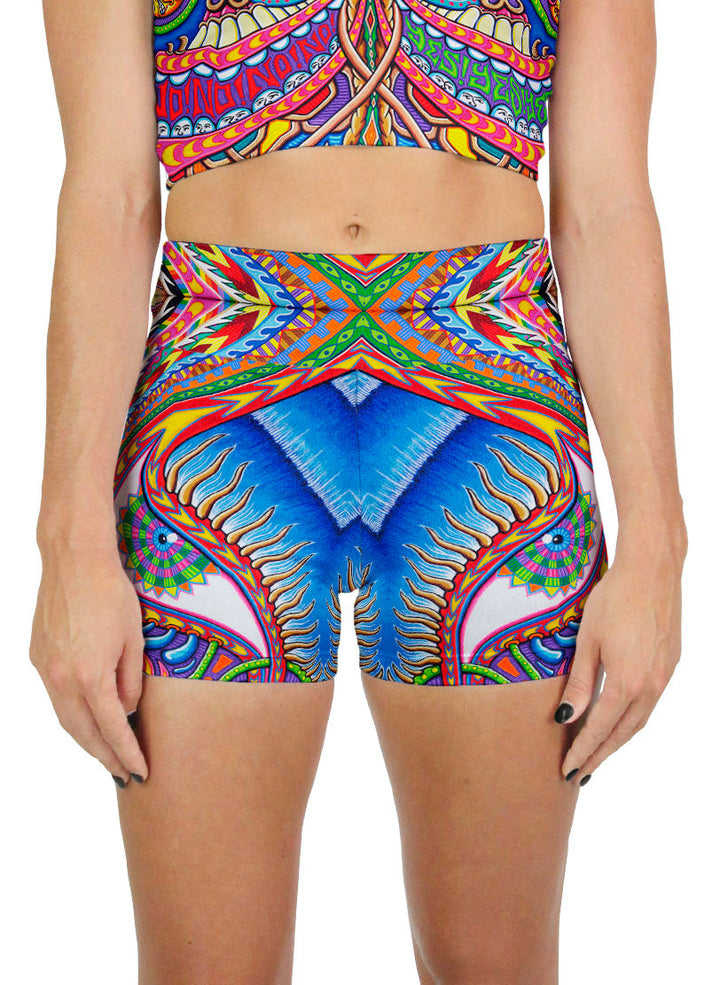 Apothesis of Dualitree Active Shorts