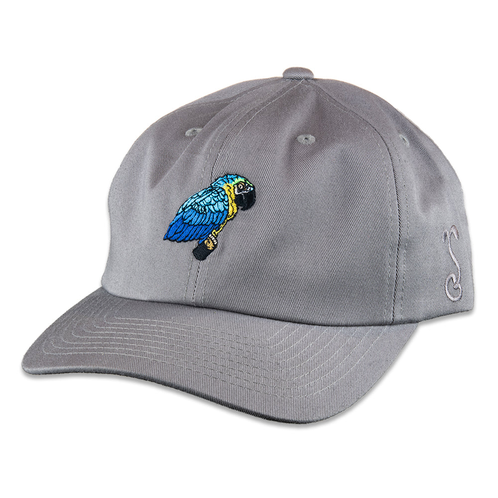 Blue Gold Macaw Gray Dad Hat