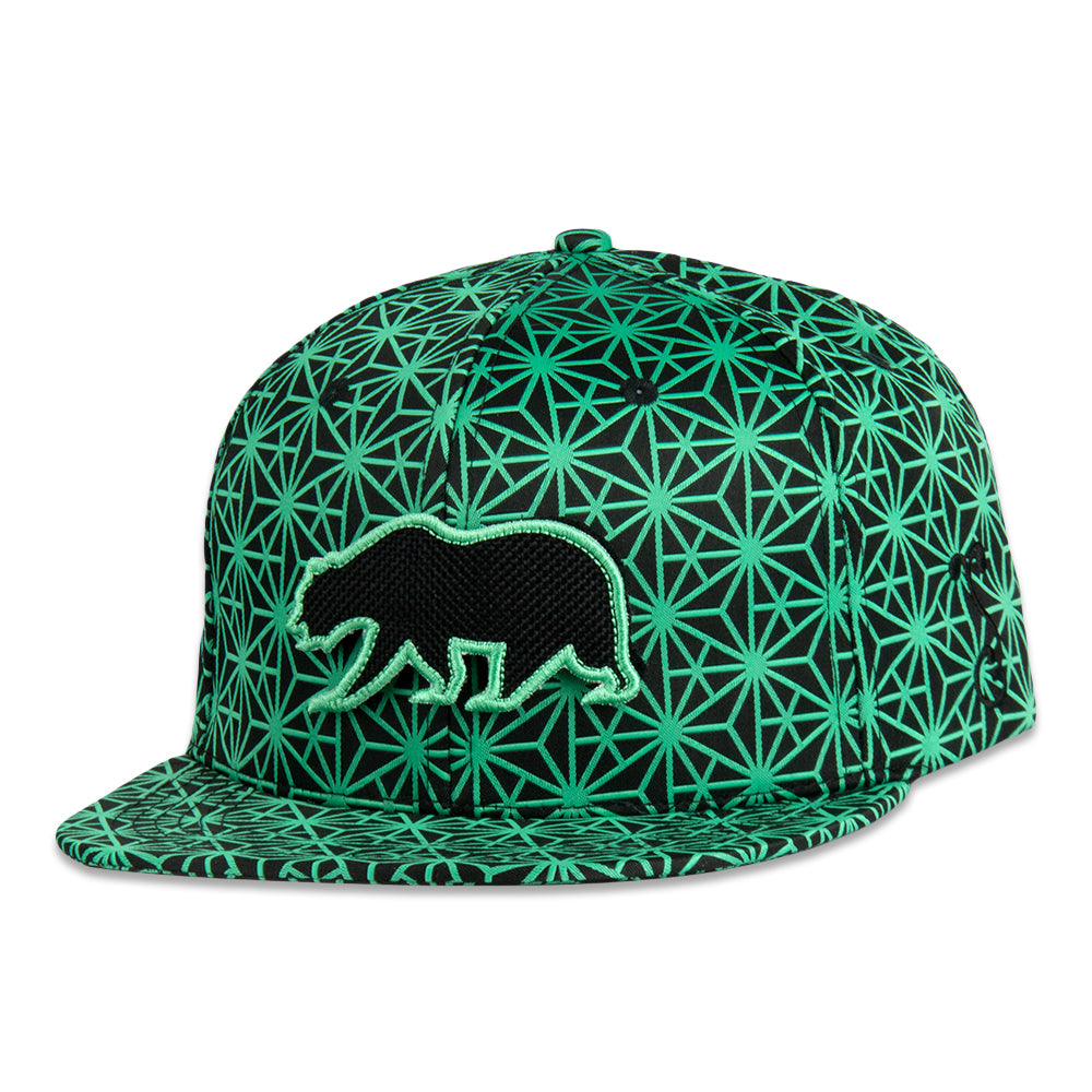 Removable Bear Geo Triangles Seafoam Snapback Hat