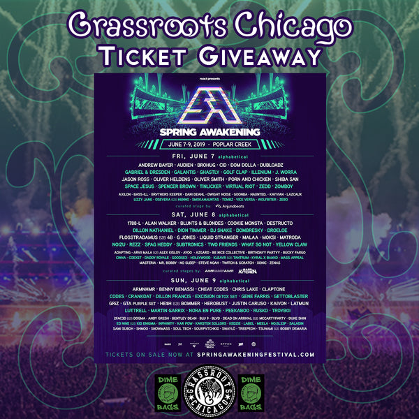 Who's Who of Chicago's Spring Awakening Music Festival