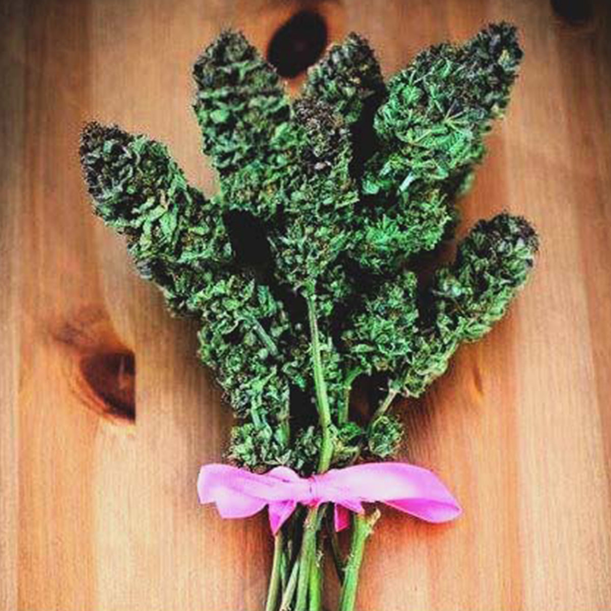 The Greatest High-deas for Valentine's Day