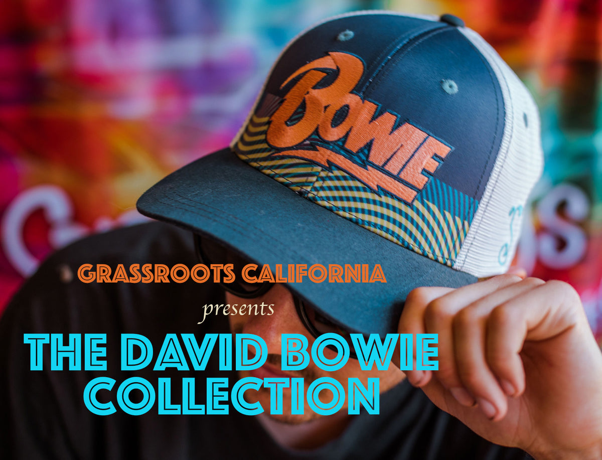 Grassroots Celebrates David Bowie