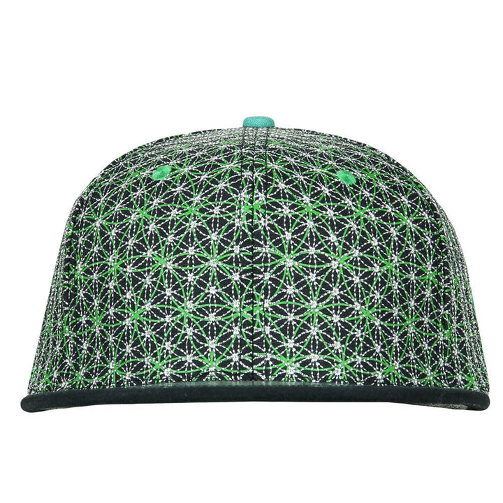 Laser Guided Visions Silver Sage Green Snapback Hat