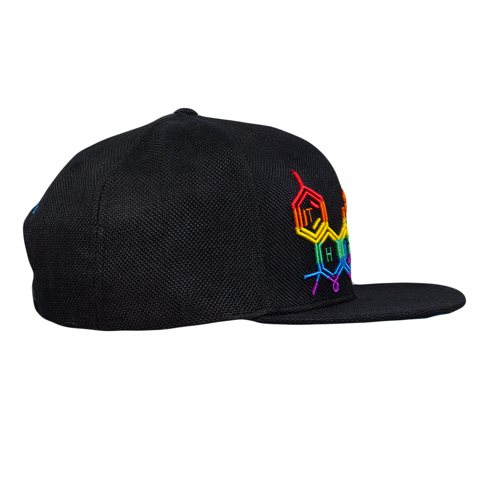 THC Bee Rainbow Snapback Hat