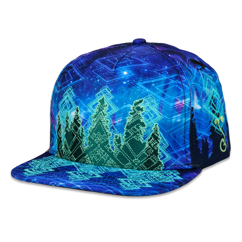 Laser Camp Navy Snapback Hat