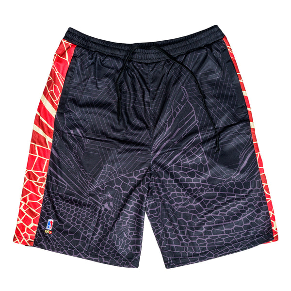 Red Rocks V4 Black Mesh Shorts