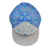 Chris Dyer DMT Triangles Gray Snapback Hat