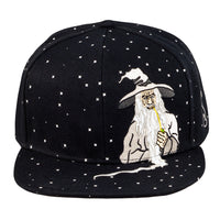 Toking Wizard Black Fitted Hat