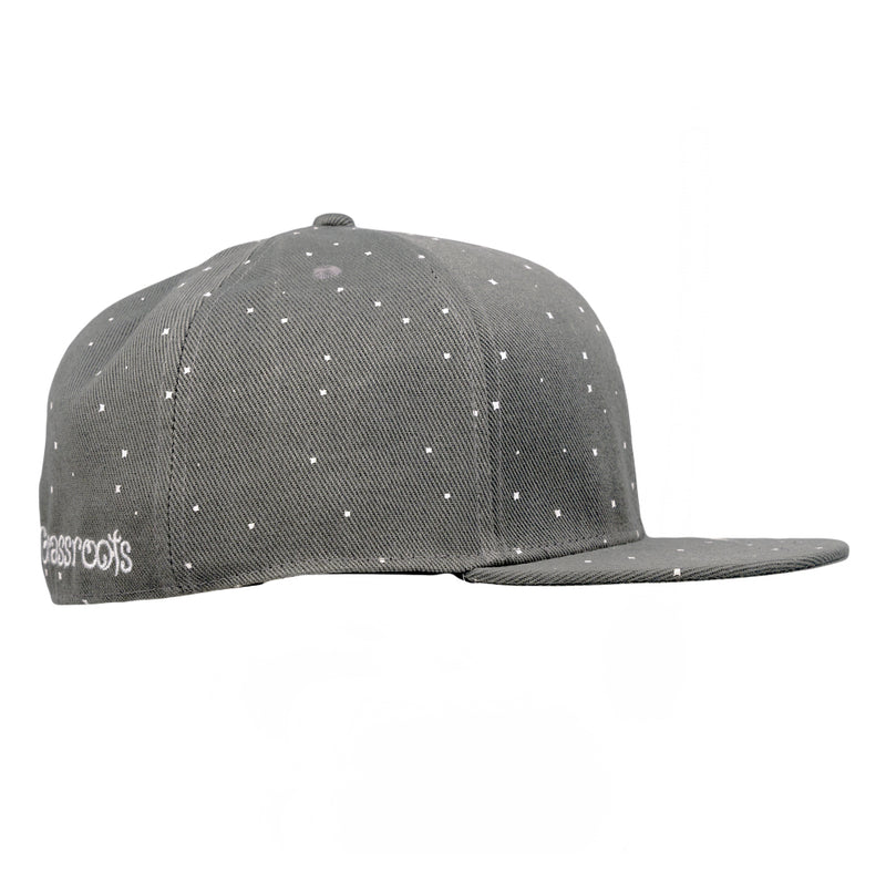 Toking Wizard Gray Fitted Hat
