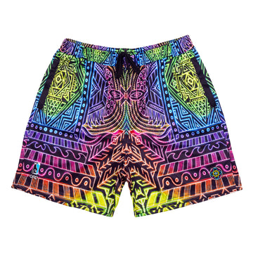 Chris Dyer Freesponsable Rainbow Mesh Shorts