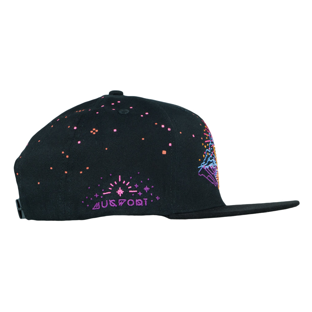 Mugwort Hummingbird Black Kids Snapback Hat