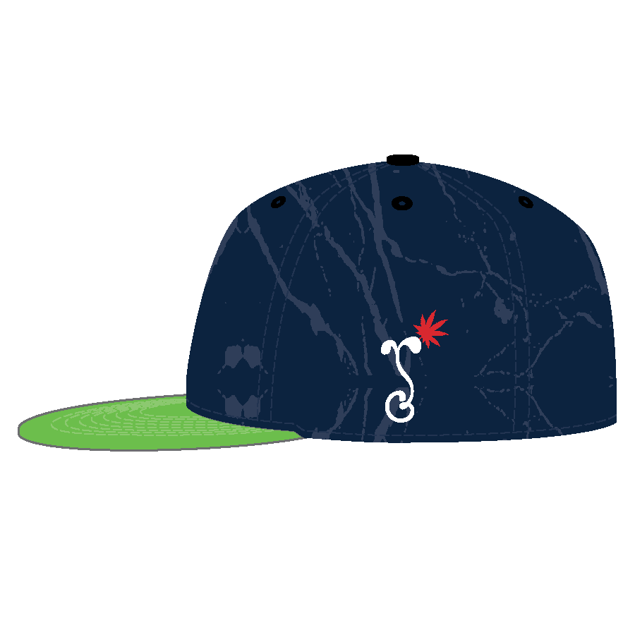 *PRE-ORDER* Seattle Stonedhawks Navy Snapback Hat