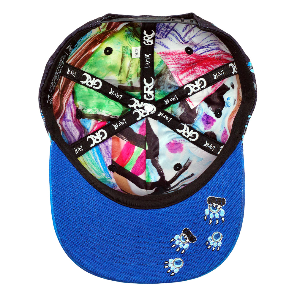 Paw Mountains Blue Kids 501 Snapback Hat