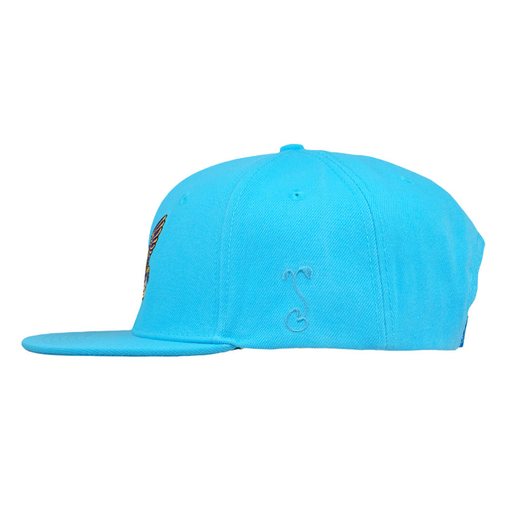 Summer Camp Bird Aqua Snapback Hat