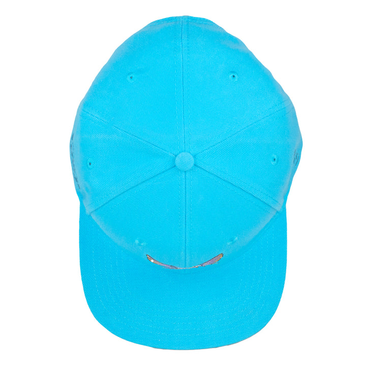 Summer Camp Bird Aqua Snapback Hat
