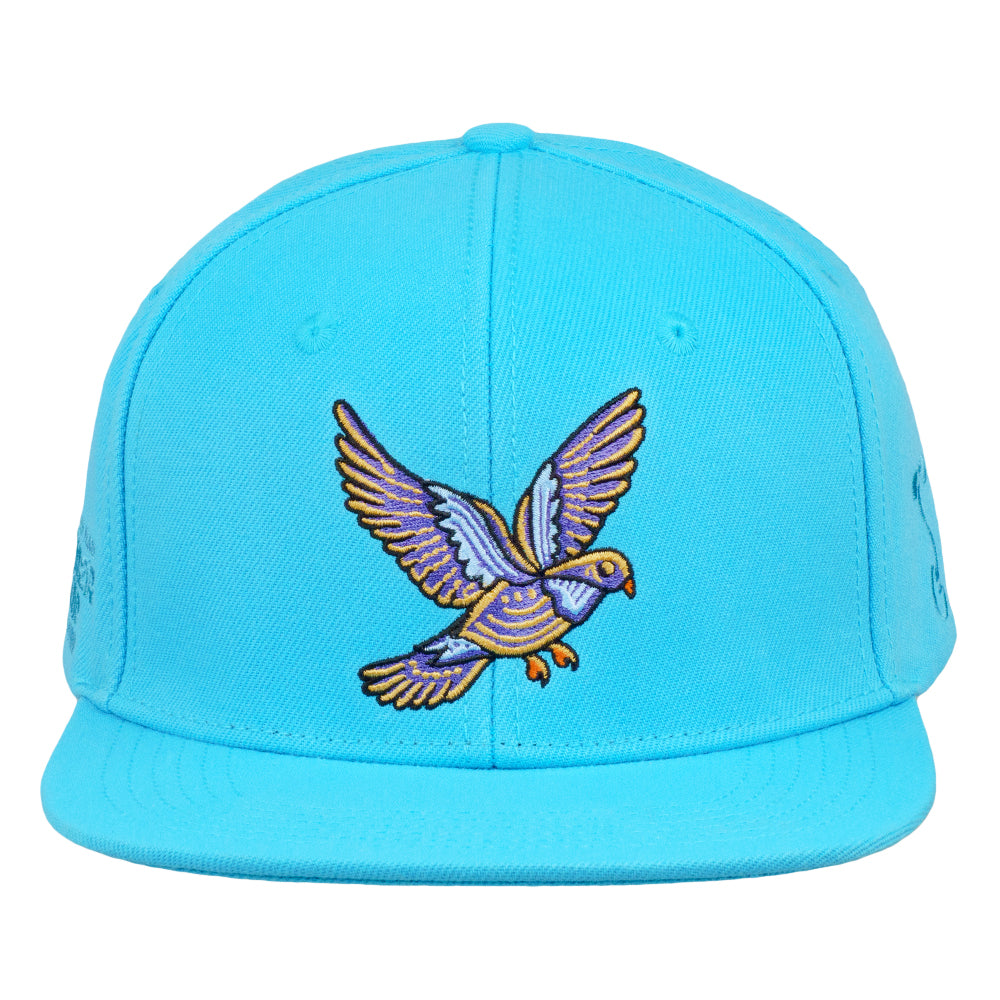 Summer Camp Bird Aqua Snapback Hat