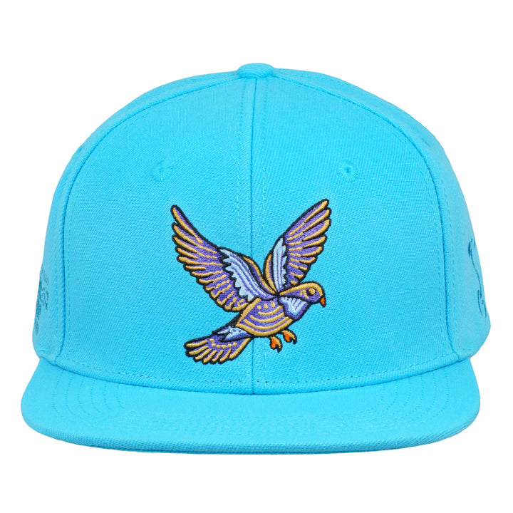Summer Camp Bird Aqua Snapback Hat