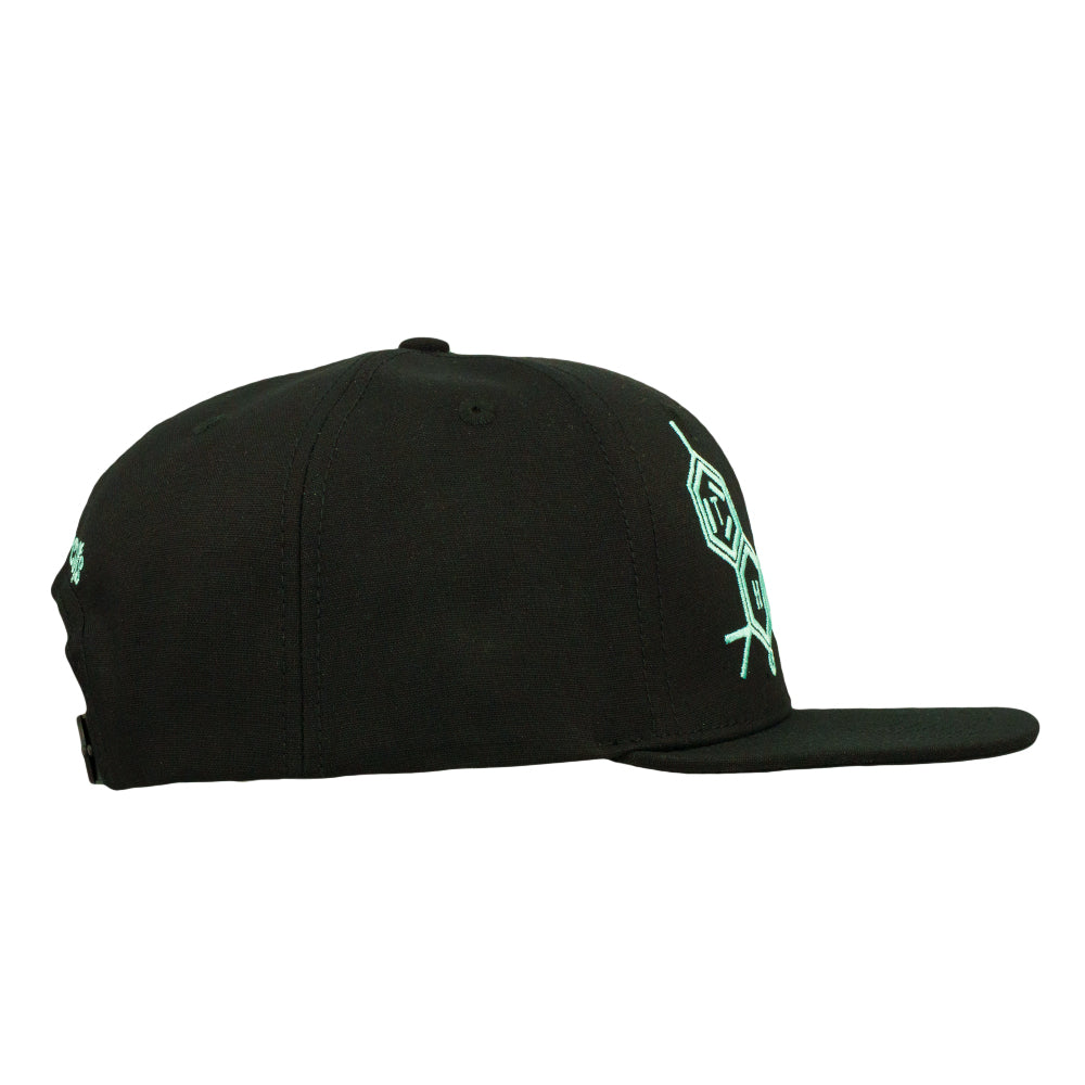 THC Bee Black Aqua Snapback Hat