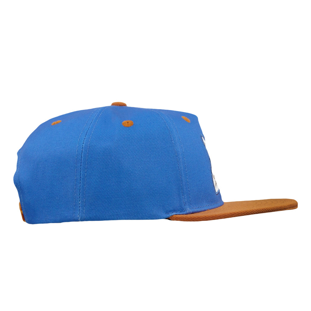 Vincent Gordon Bicycle Day Cat Blue Snapback Hat