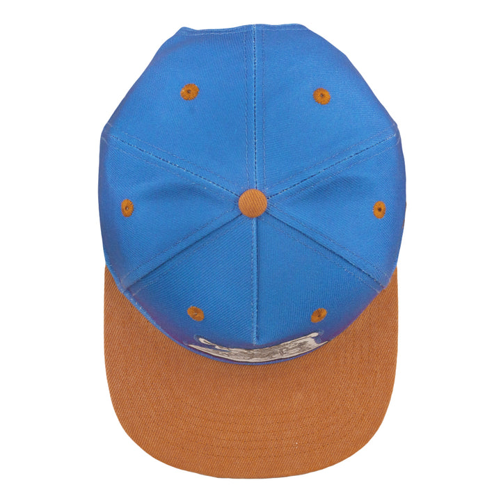 Vincent Gordon Bicycle Day Cat Blue Snapback Hat