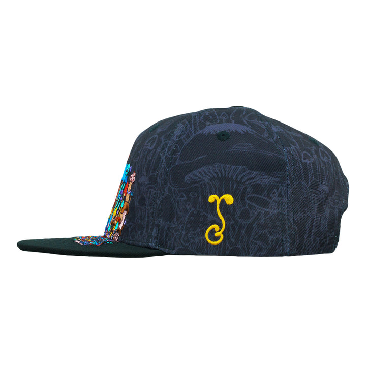 Vincent Gordon Melty Mushrooms Black Snapback Hat