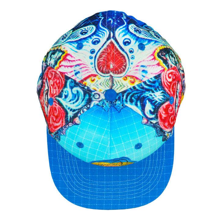 Randal Roberts Blotter Homer Blue Fitted Hat