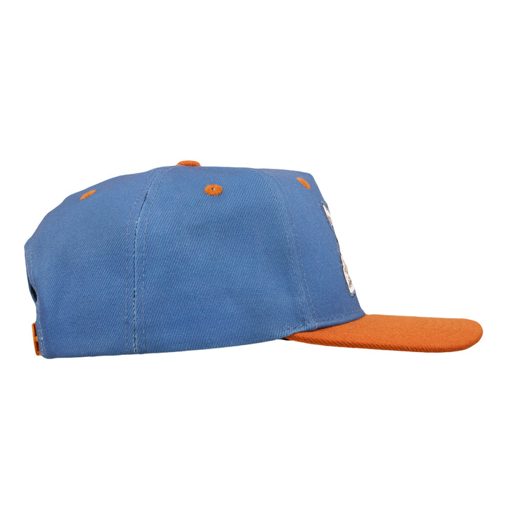 Vincent Gordon Bicycle Day Cat Blue 501 Snapback Hat