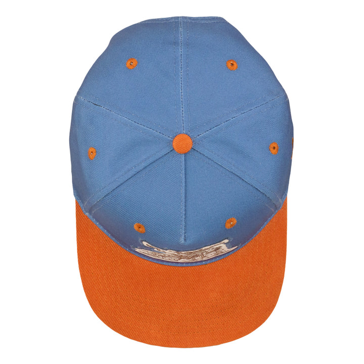 Vincent Gordon Bicycle Day Cat Blue 501 Snapback Hat