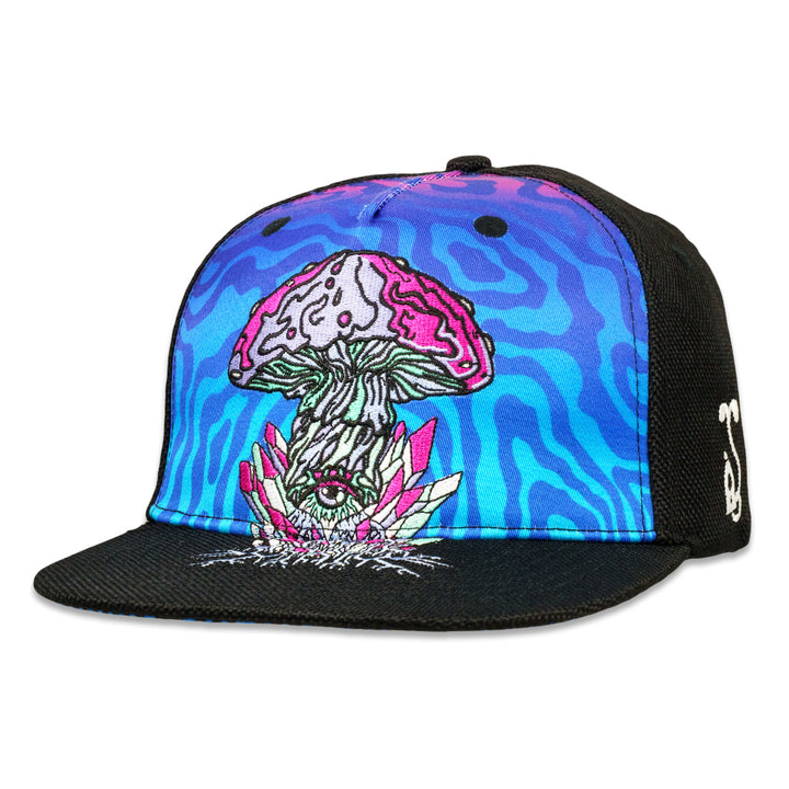 Interstellar Collections Mushroom Black Snapback Hat