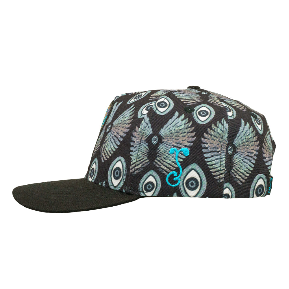 Banjo Glass Isis Black 501 Snapback Hat