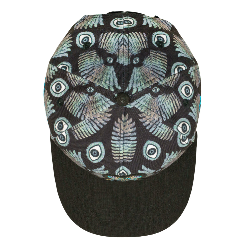 Banjo Glass Isis Black 501 Snapback Hat
