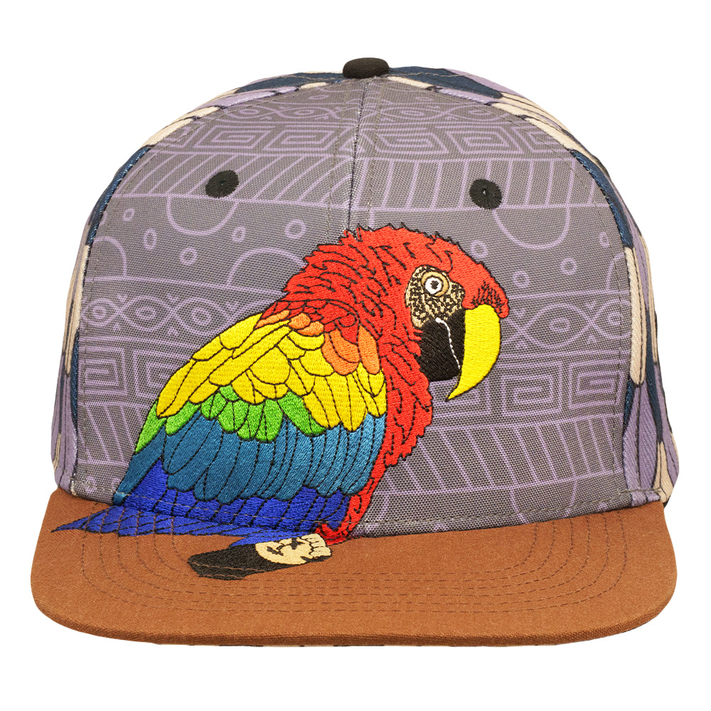 Scarlet Macaw Feathers Gray Snapback Hat