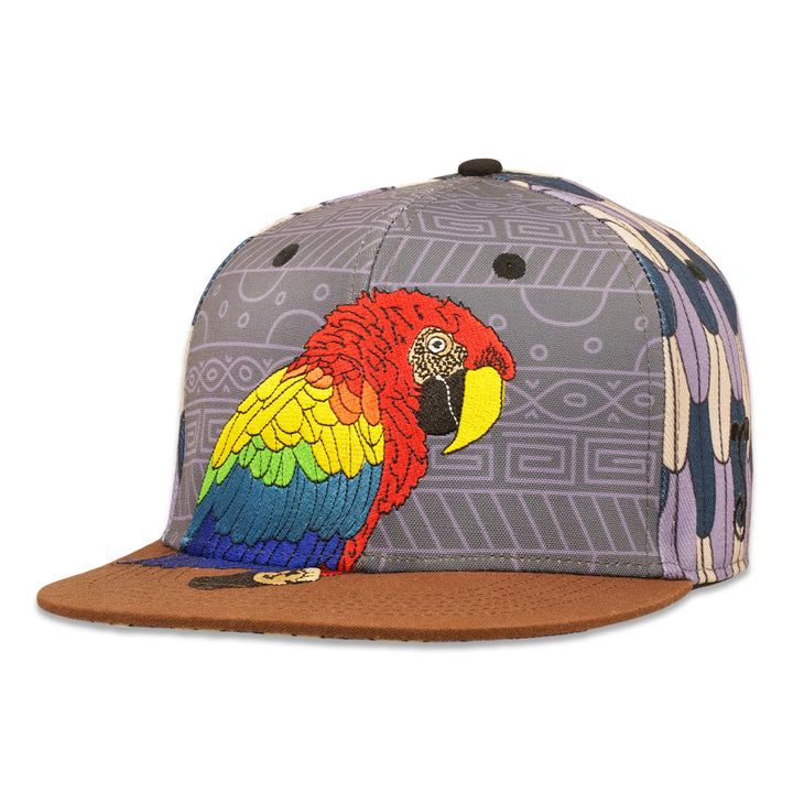 Scarlet Macaw Feathers Gray Fitted Hat