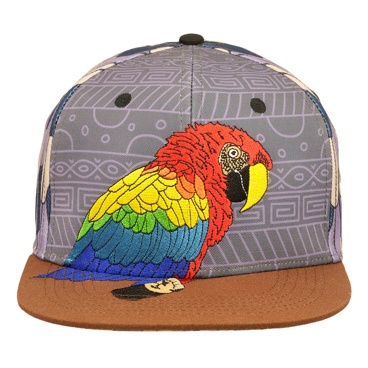 Scarlet Macaw Feathers Gray Fitted Hat