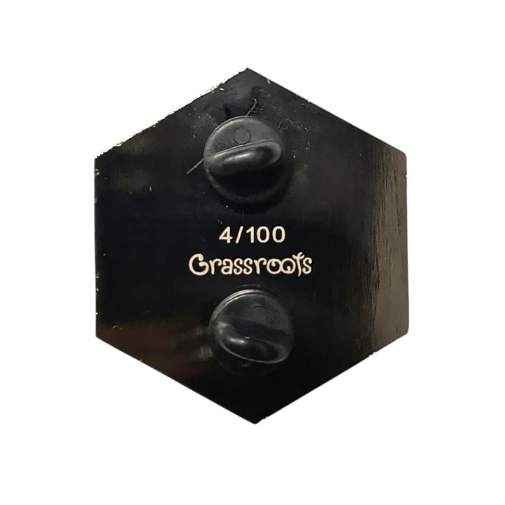 Colorado Prism Pin
