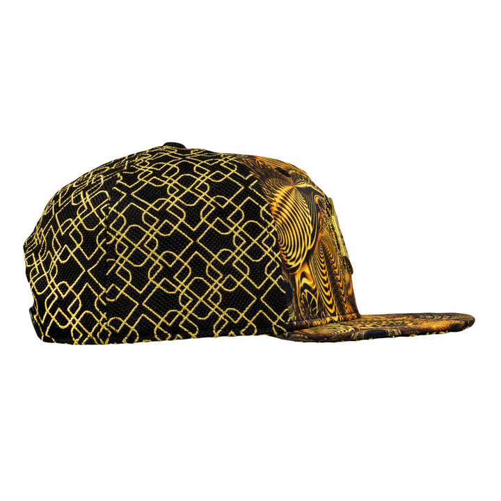 Johnathan Singer Down the Ribbit Hole Snapback Hat