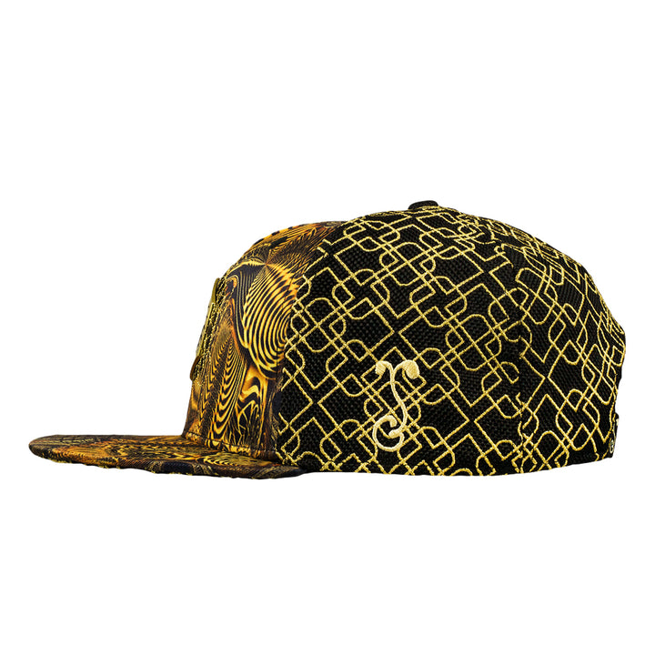 Johnathan Singer Down the Ribbit Hole Snapback Hat