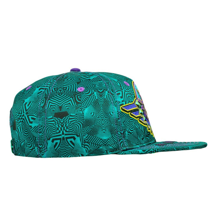 Night Owl Green Purple Snapback Hat