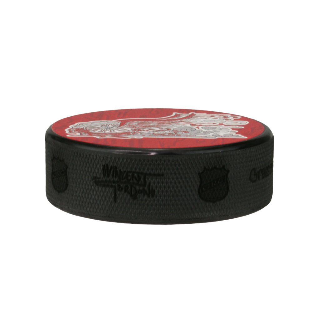 Disco de hockey desunido de Vincent Gordon