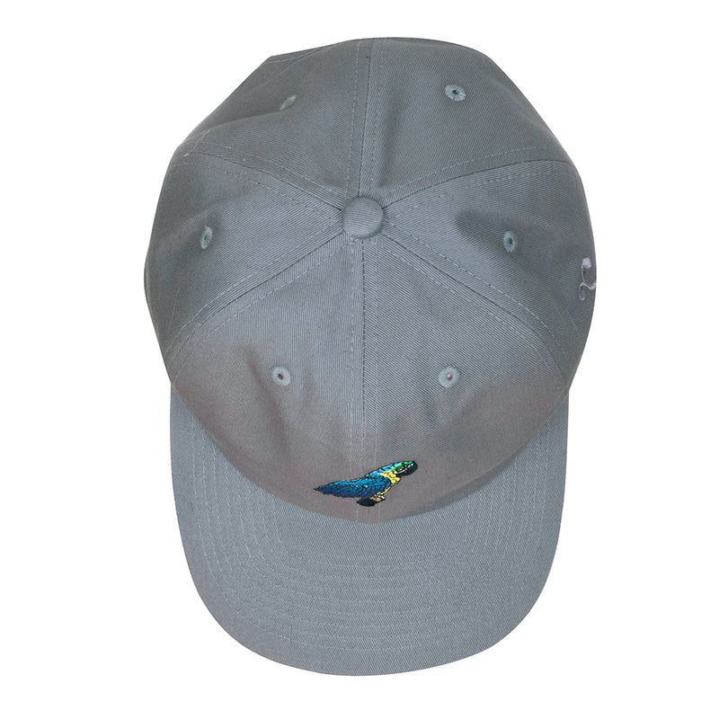 Blue Gold Macaw Gray Dad Hat