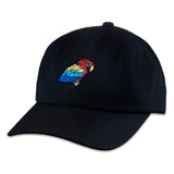 Scarlet Macaw Black Dad Hat