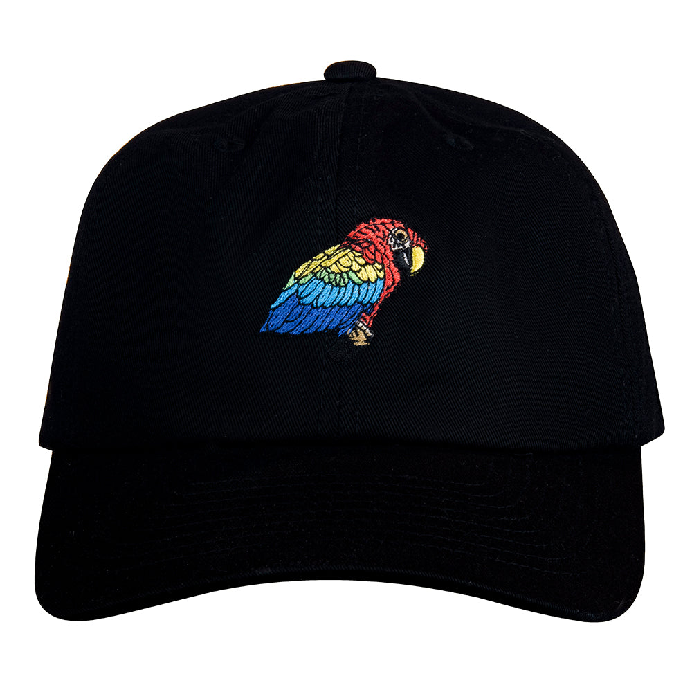 Scarlet Macaw Black Dad Hat