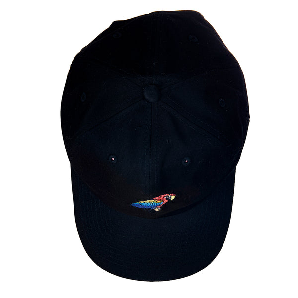 Scarlet Macaw Black Dad Hat