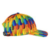 Scarlet Macaw Rainbow Feathers Dad Hat